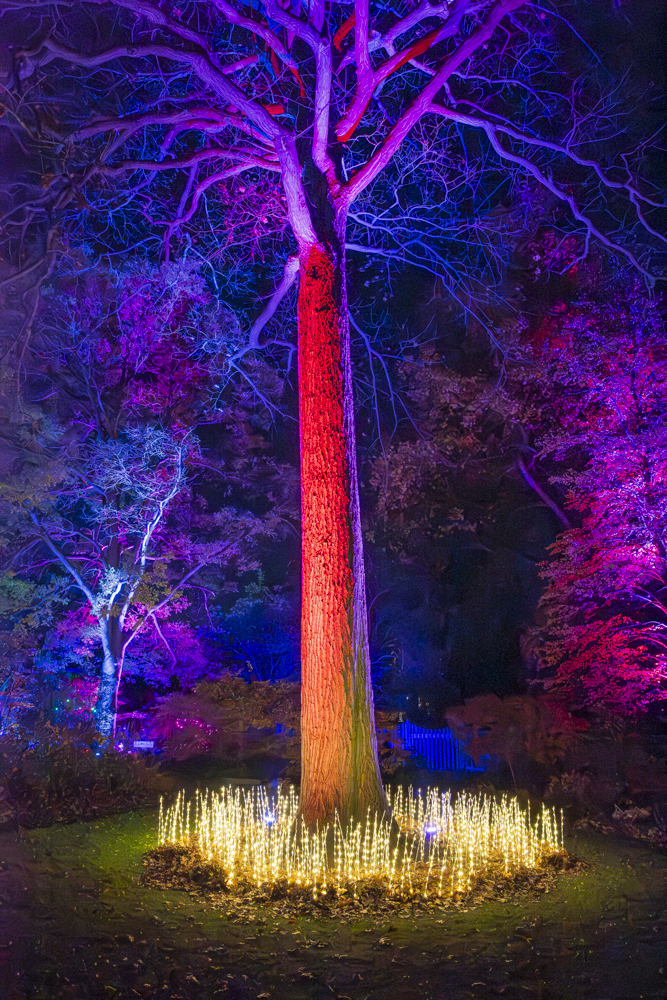 Frost – Cleveland Botanical Garden